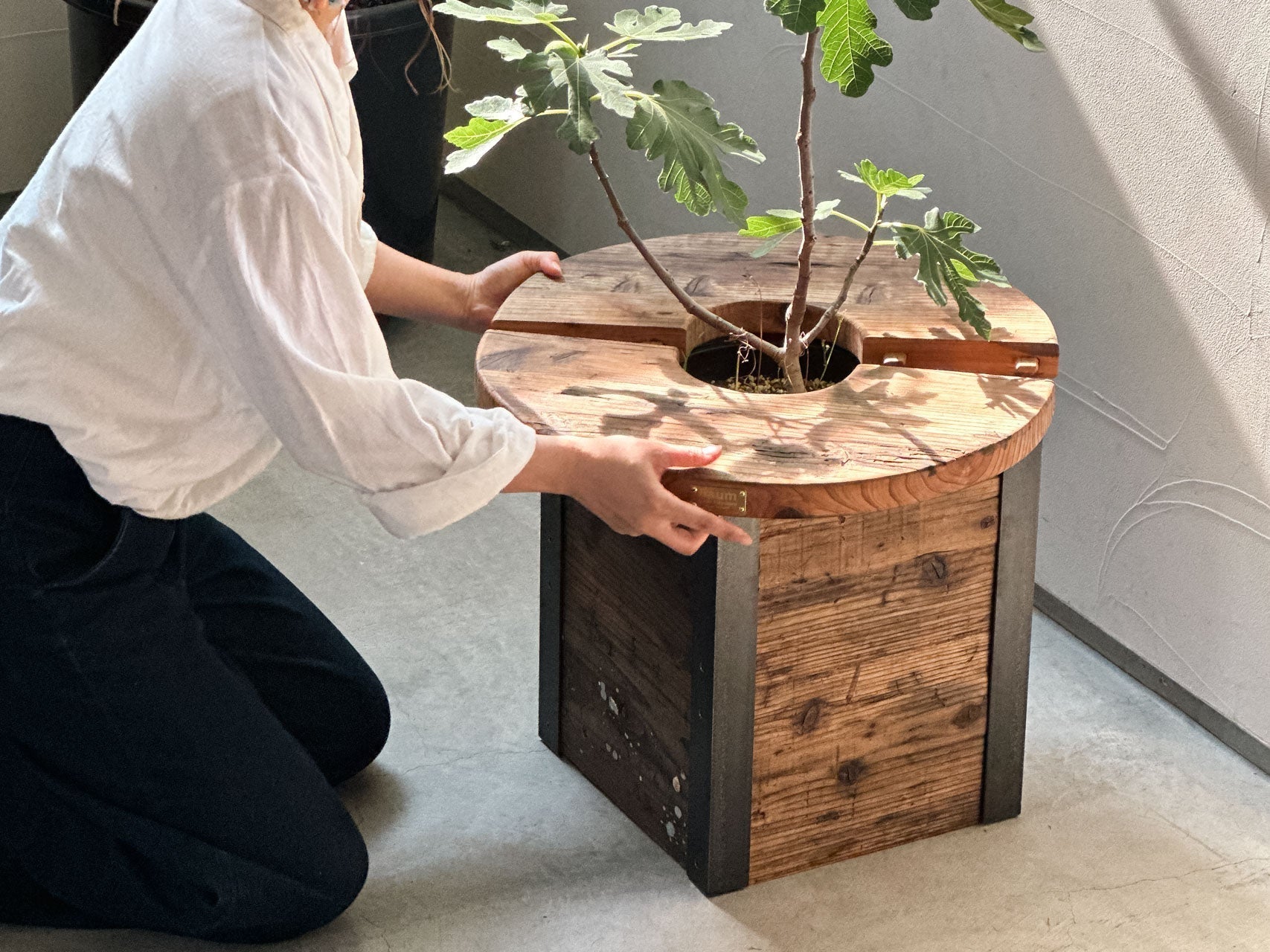 無垢材・黒皮鉄と植物がつくる、自然素材のある暮らしのヒント