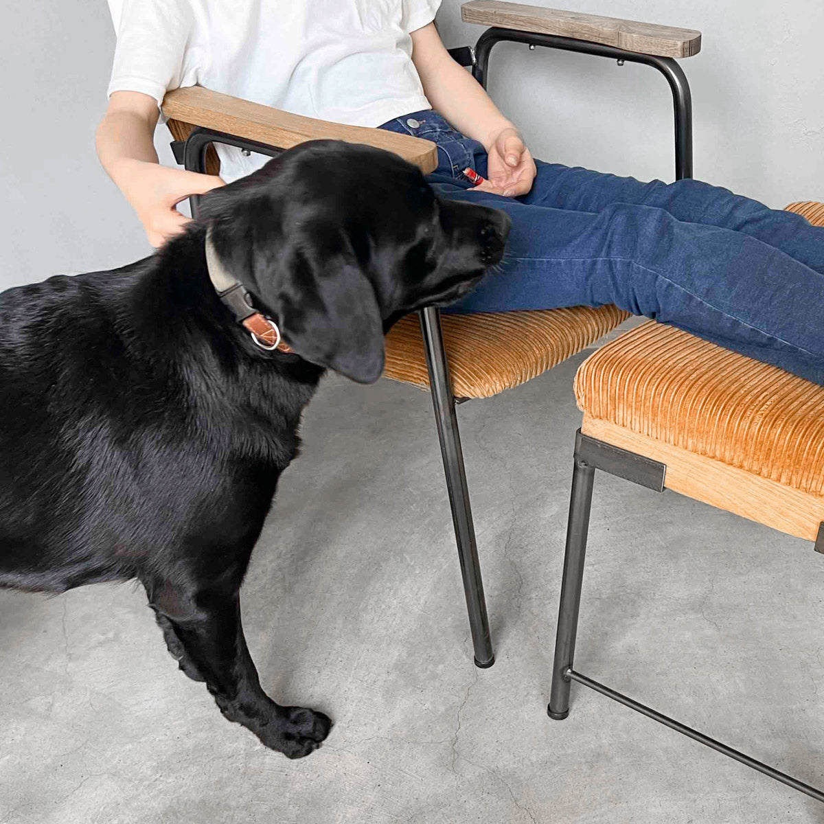 Y.T Chair