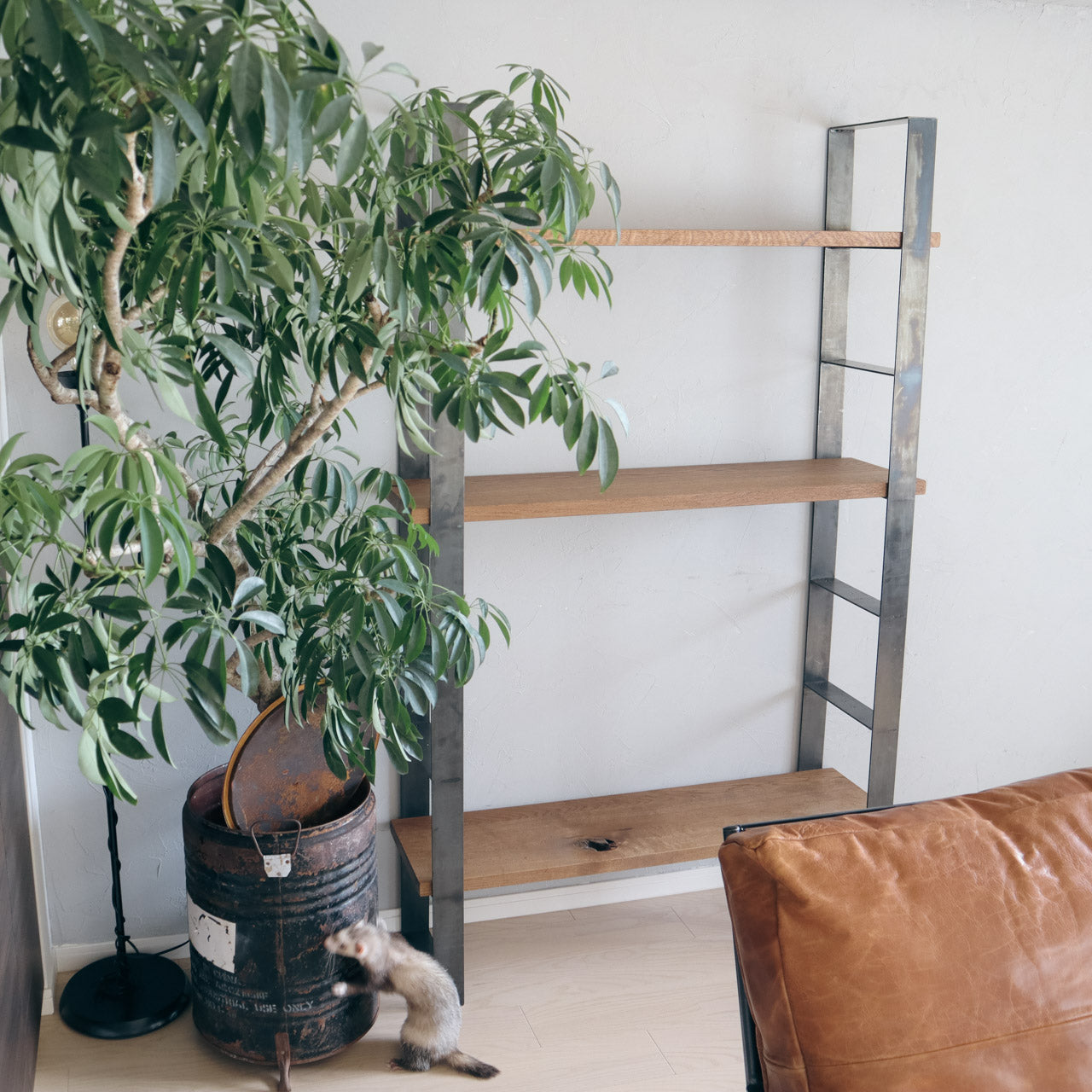 シェルフフレーム、本棚、壁付けシェルフ