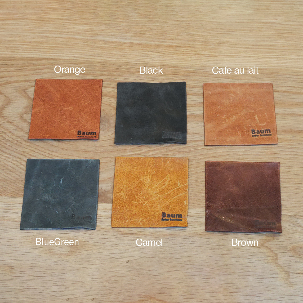 Leather Coaster B-Type