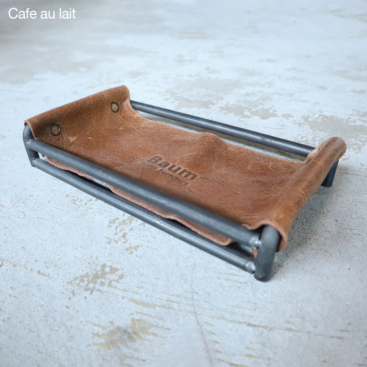 Tray
