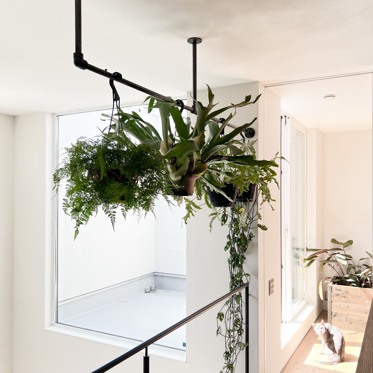 ハンガーパイプ、ハンガーバー