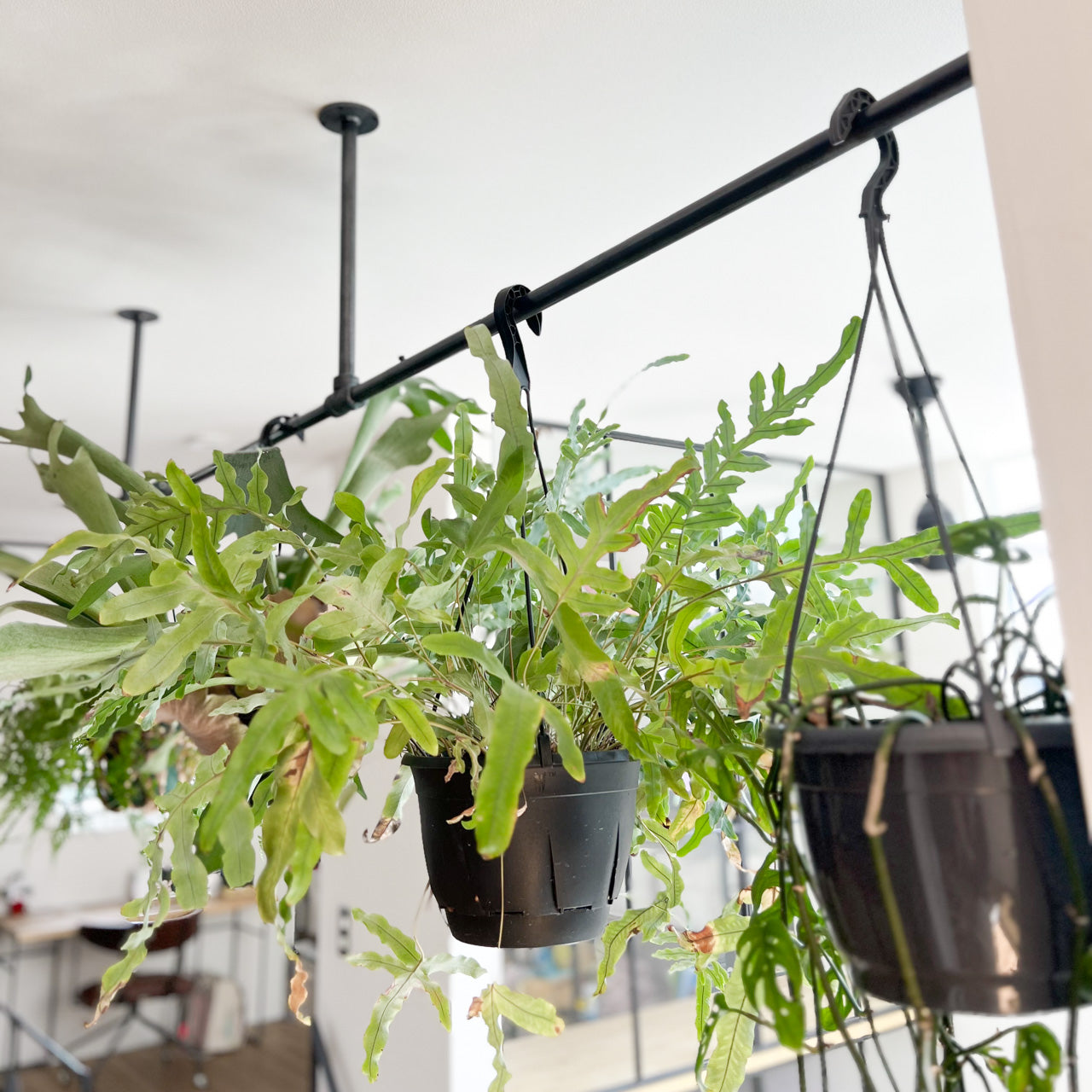 ハンガーパイプ、ハンガーバー