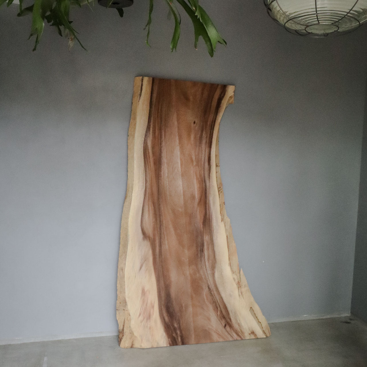 無垢一枚板 モンキーポッド《M051》W1810/未仕上げ品