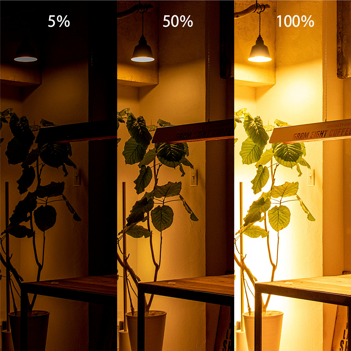 ロンギー、ペンダントライト、gram eight、グラムエイト、照明