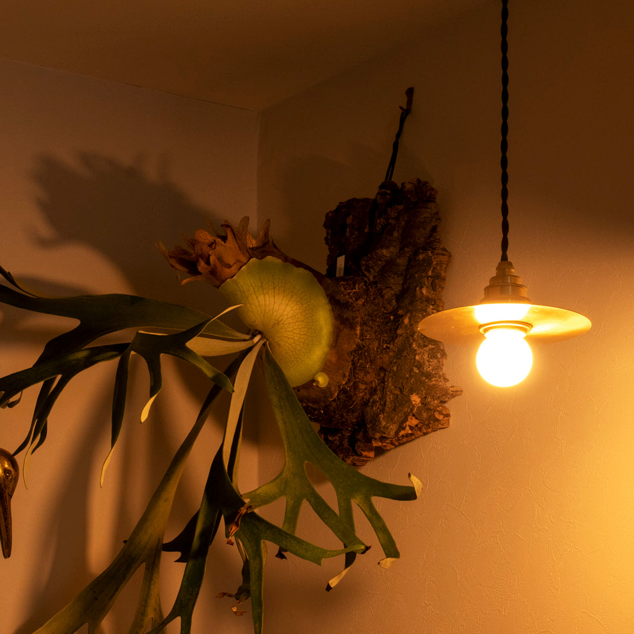 真鍮ペンダントライト、gram eight、グラムエイト