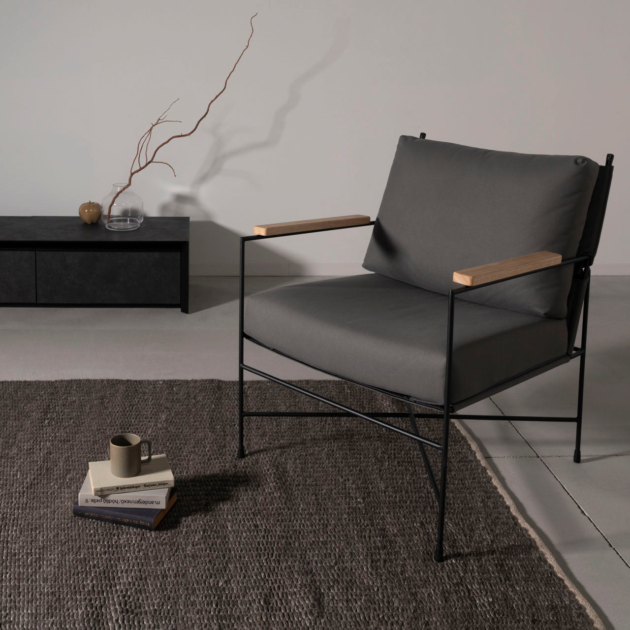 Anise Lounge Chair ラウンジチェア リビングチェア リラックス スチール アームレスト レザー ファブリック 椅子 書斎 家具