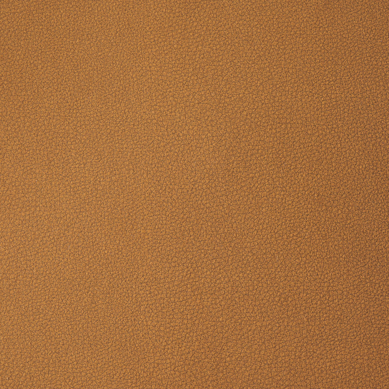 Anise Lounge Chair ラウンジチェア リビングチェア リラックス スチール アームレスト レザー ファブリック 椅子 書斎 家具