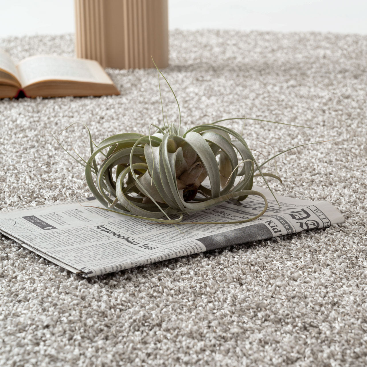 Round W Rug ラグマット 160×160 丸ラグ ラウンドラグ ラグ ショートシャギー ポリエステル 防ダニ・抗菌防臭・防炎機能 ホットカーペット 床暖房 インテリア インテリア雑貨