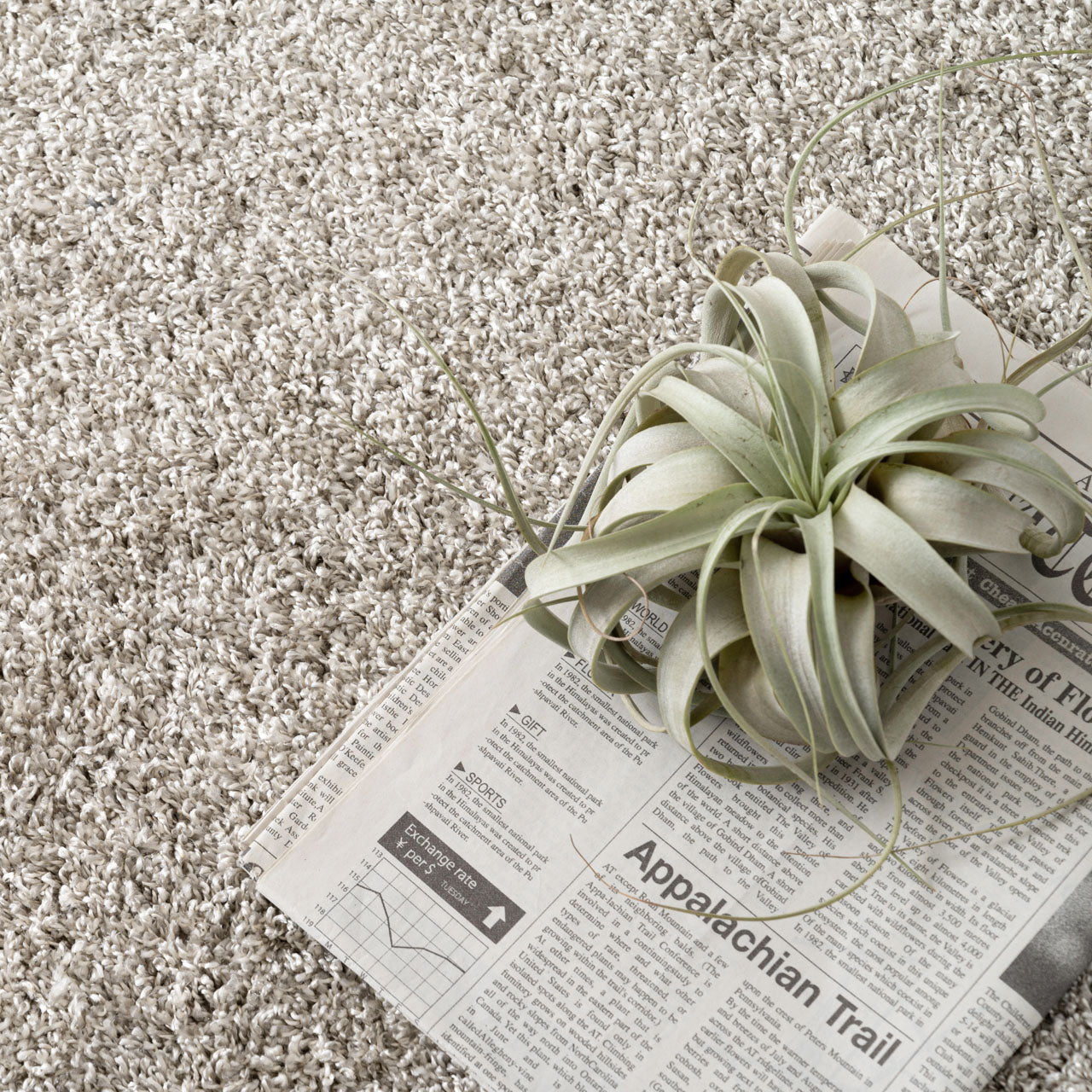 Round W Rug ラグマット 160×160 丸ラグ ラウンドラグ ラグ ショートシャギー ポリエステル 防ダニ・抗菌防臭・防炎機能 ホットカーペット 床暖房 インテリア インテリア雑貨