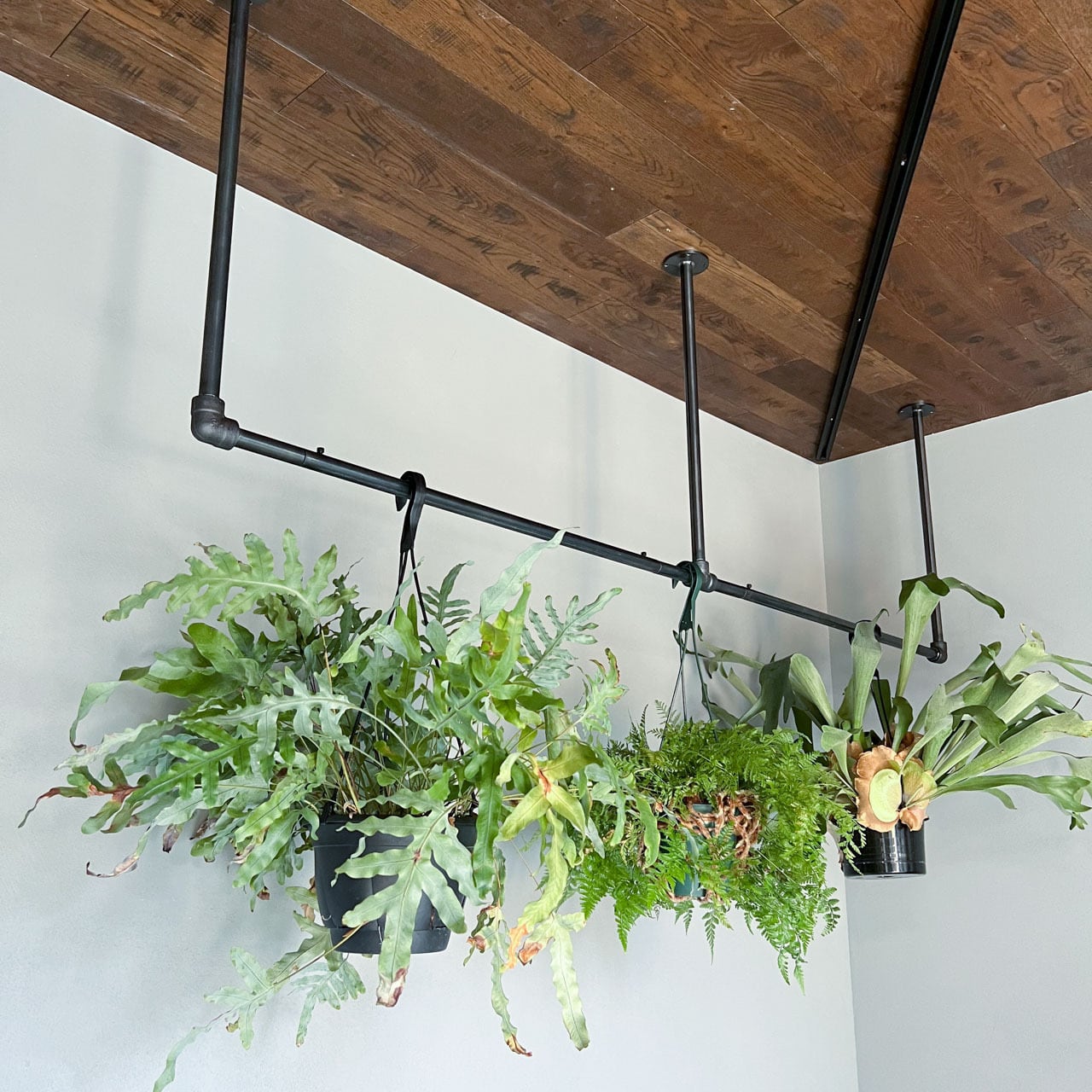 ハンガーパイプ、ハンガーバー