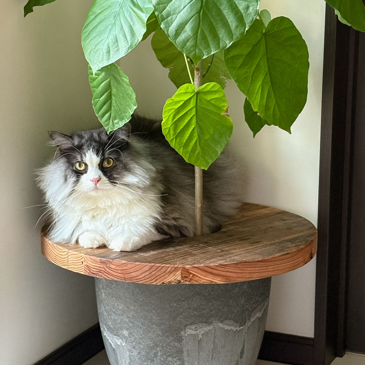 Old Planter Table