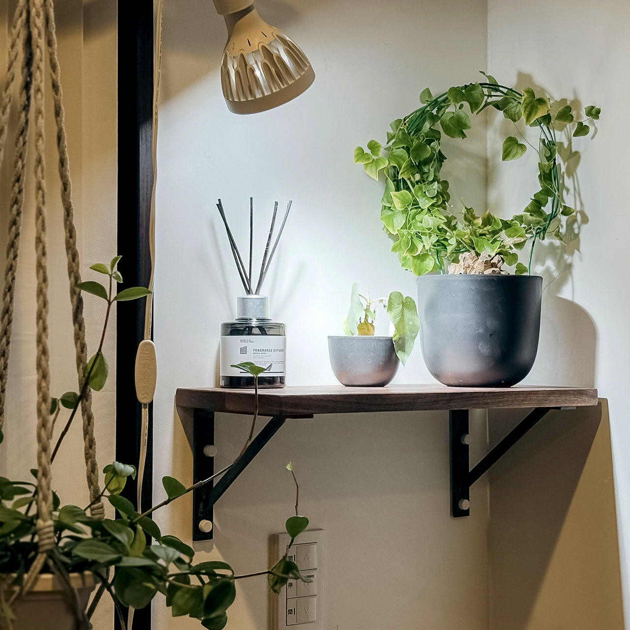 アイアンブラケットをボードピンで取り付けてその上に植物やディフューザーなどディスプレイしている様子
