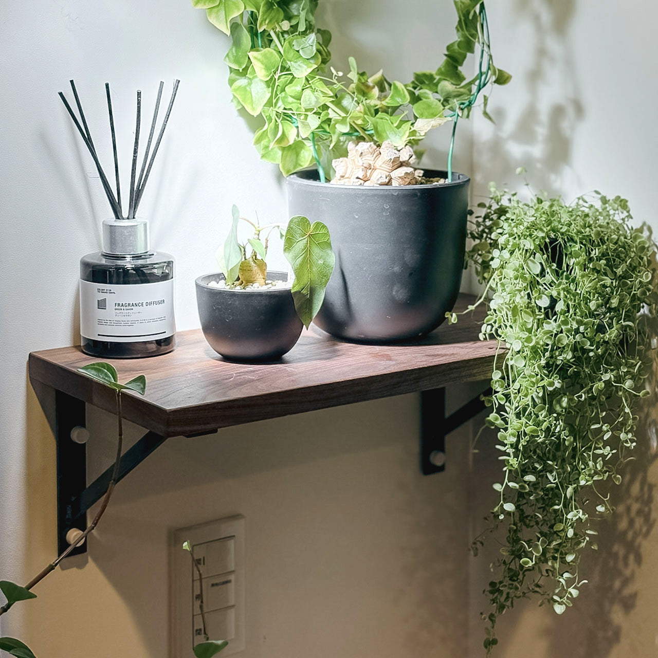 アイアンブラケットをボードピンで取り付けてその上に植物やディフューザーなどディスプレイしている様子