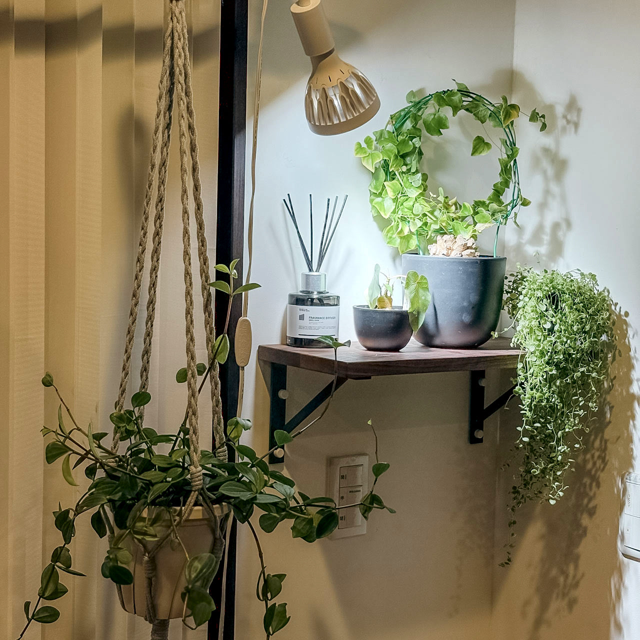 アイアンブラケットをボードピンで取り付けてその上に植物やディフューザーなどディスプレイしている様子
