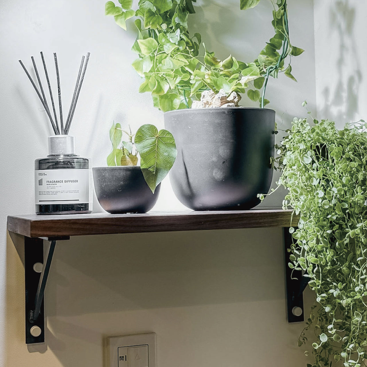アイアンブラケットをボードピンで取り付けてその上に植物やディフューザーなどディスプレイしている様子