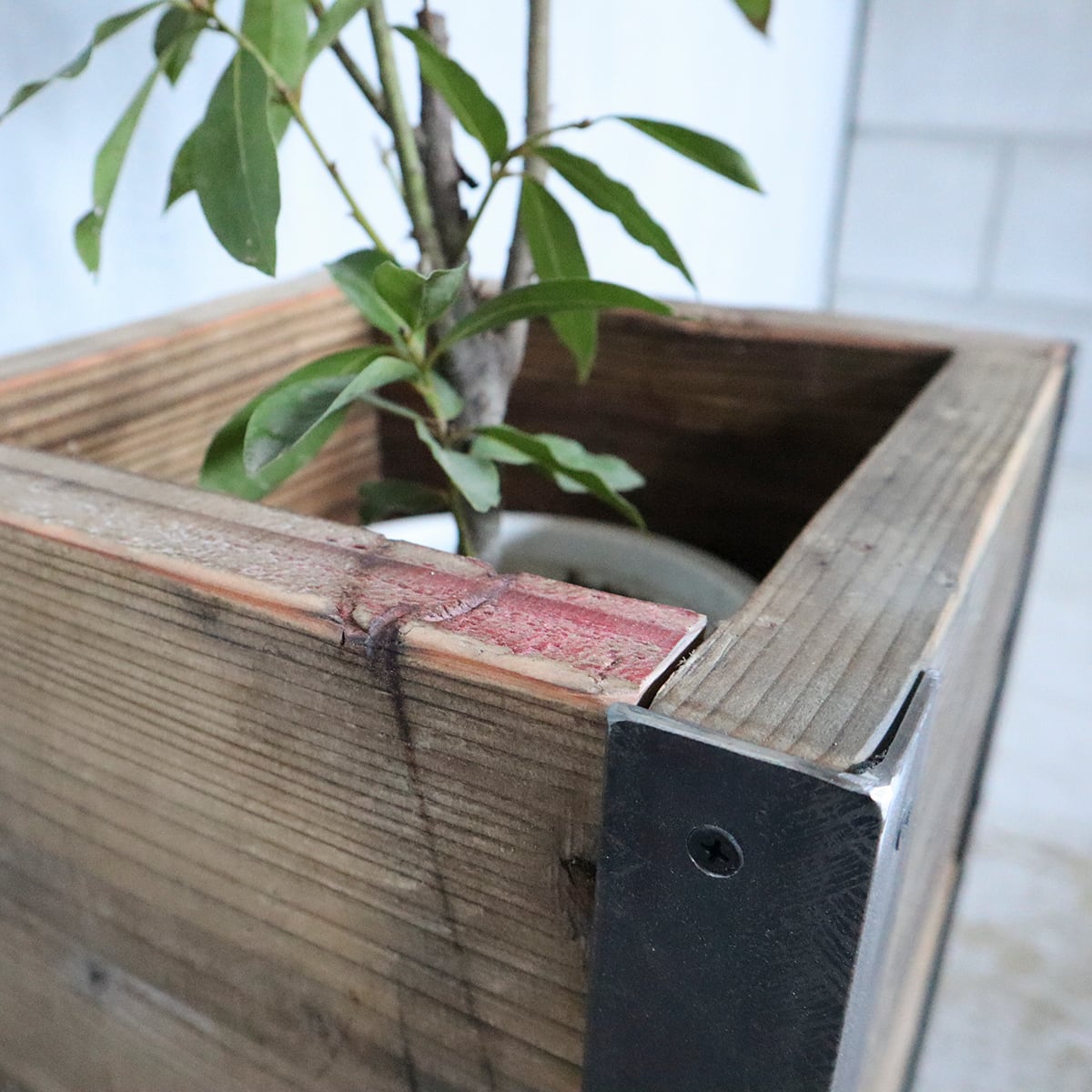 Old Planter Cover