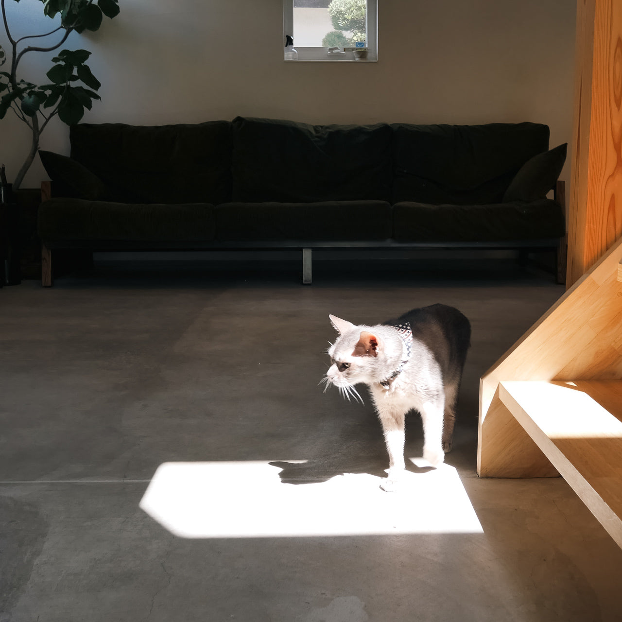 四人掛けソファ、4.5シーター、ソファー、Baum Order Furniture