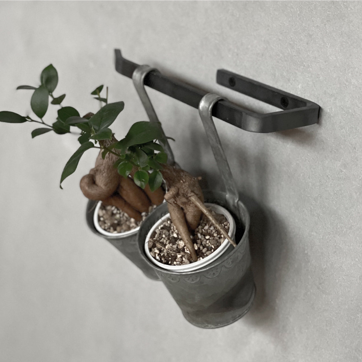 アイアンフック、タオルハンガー