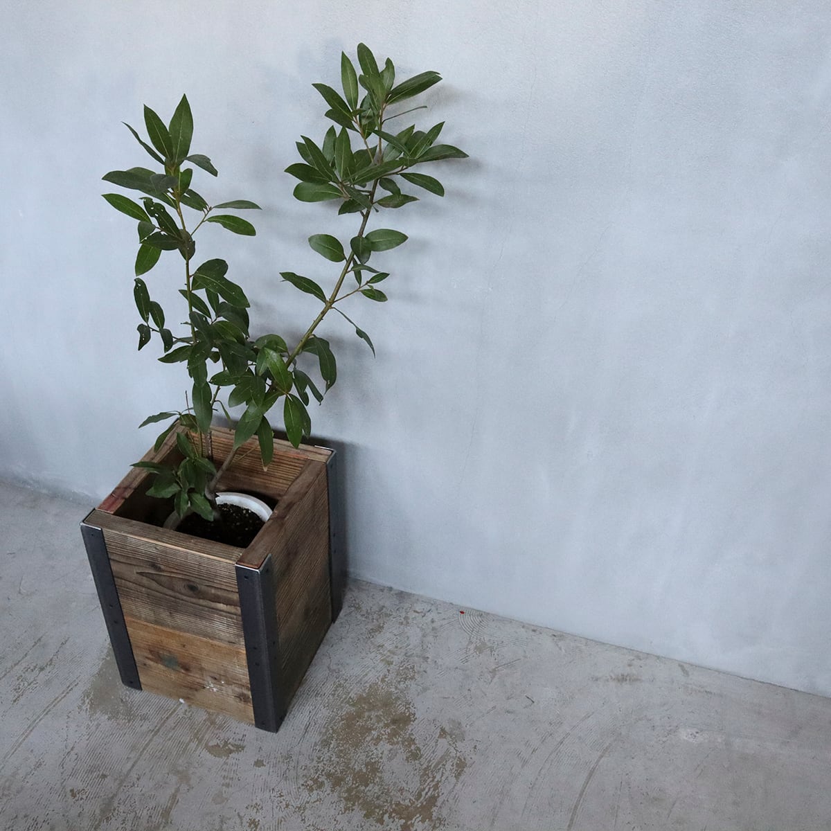Old Planter Cover