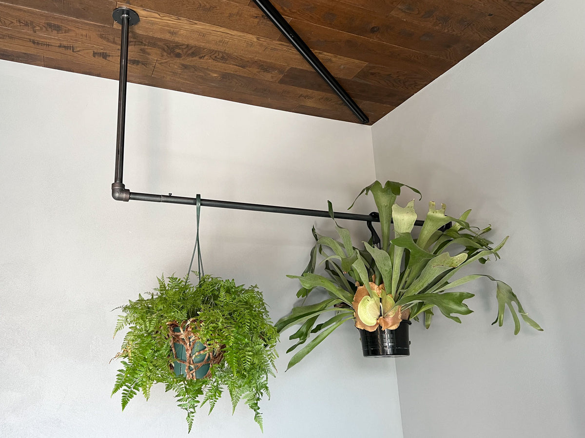Hanger Rack / Baum Order Furniture