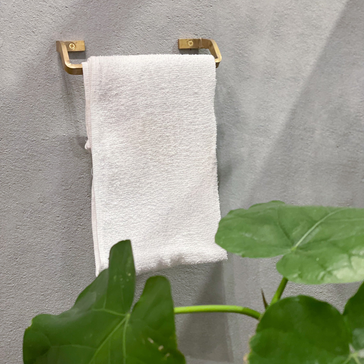 Brass Towel Hanger