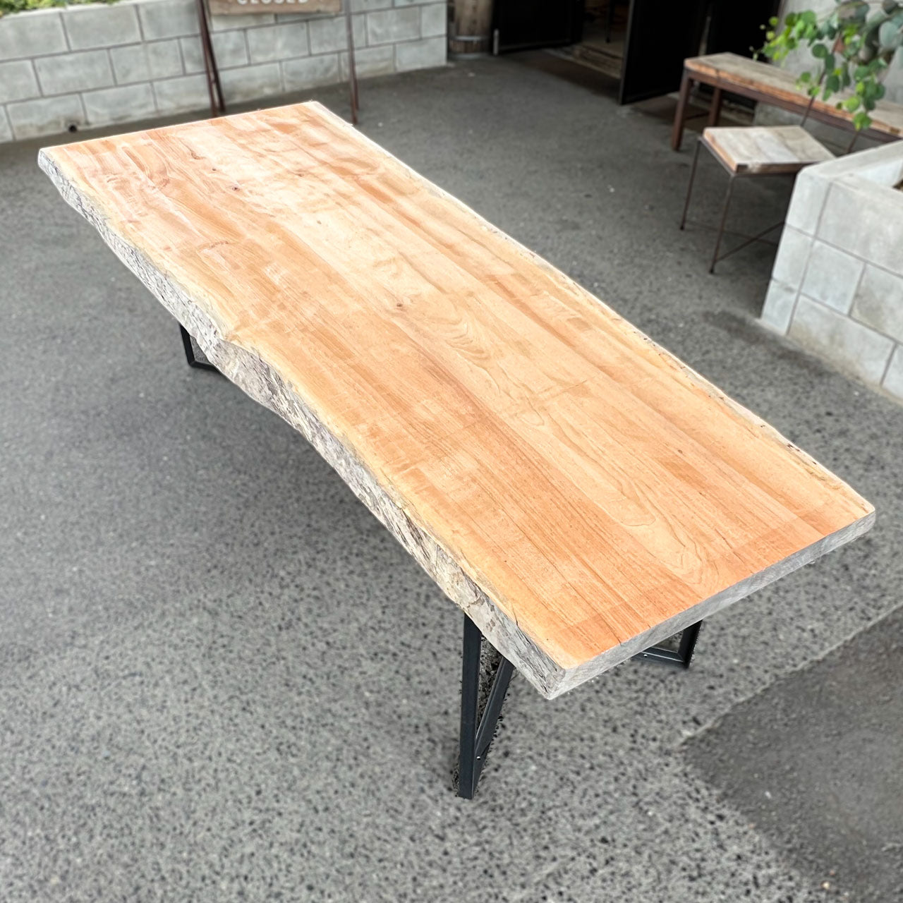 無垢一枚板 椨（タブ）《TB-127》W2310/未仕上げ品