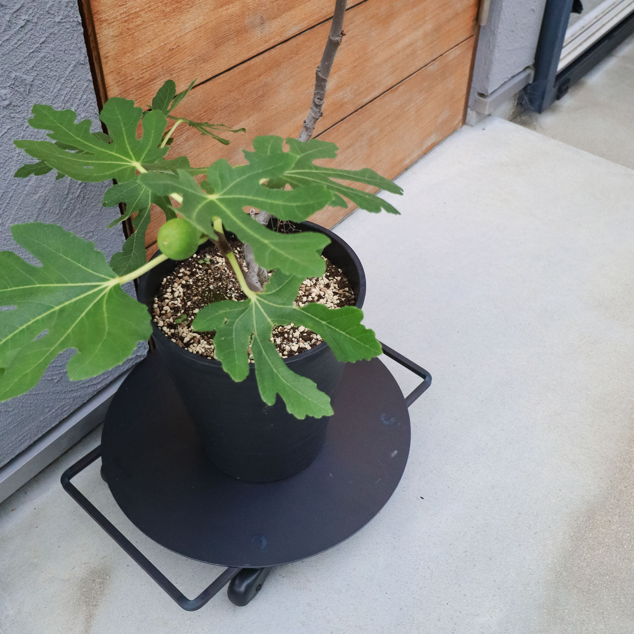 Wheel Low Table